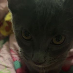 Meet your Posher, Cry